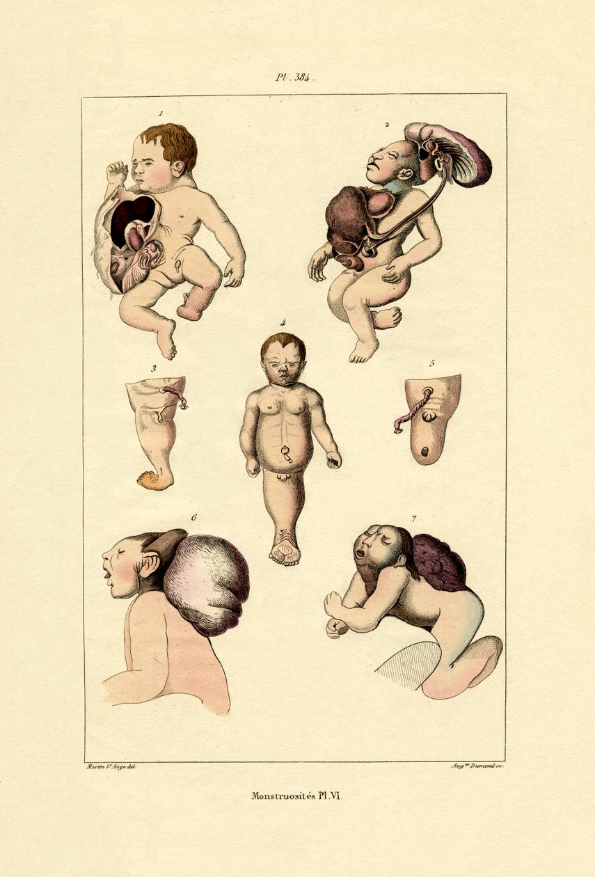 ucube, 1833-39 by French School