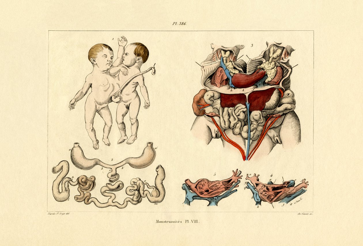 ucube, 1833-39 by French School