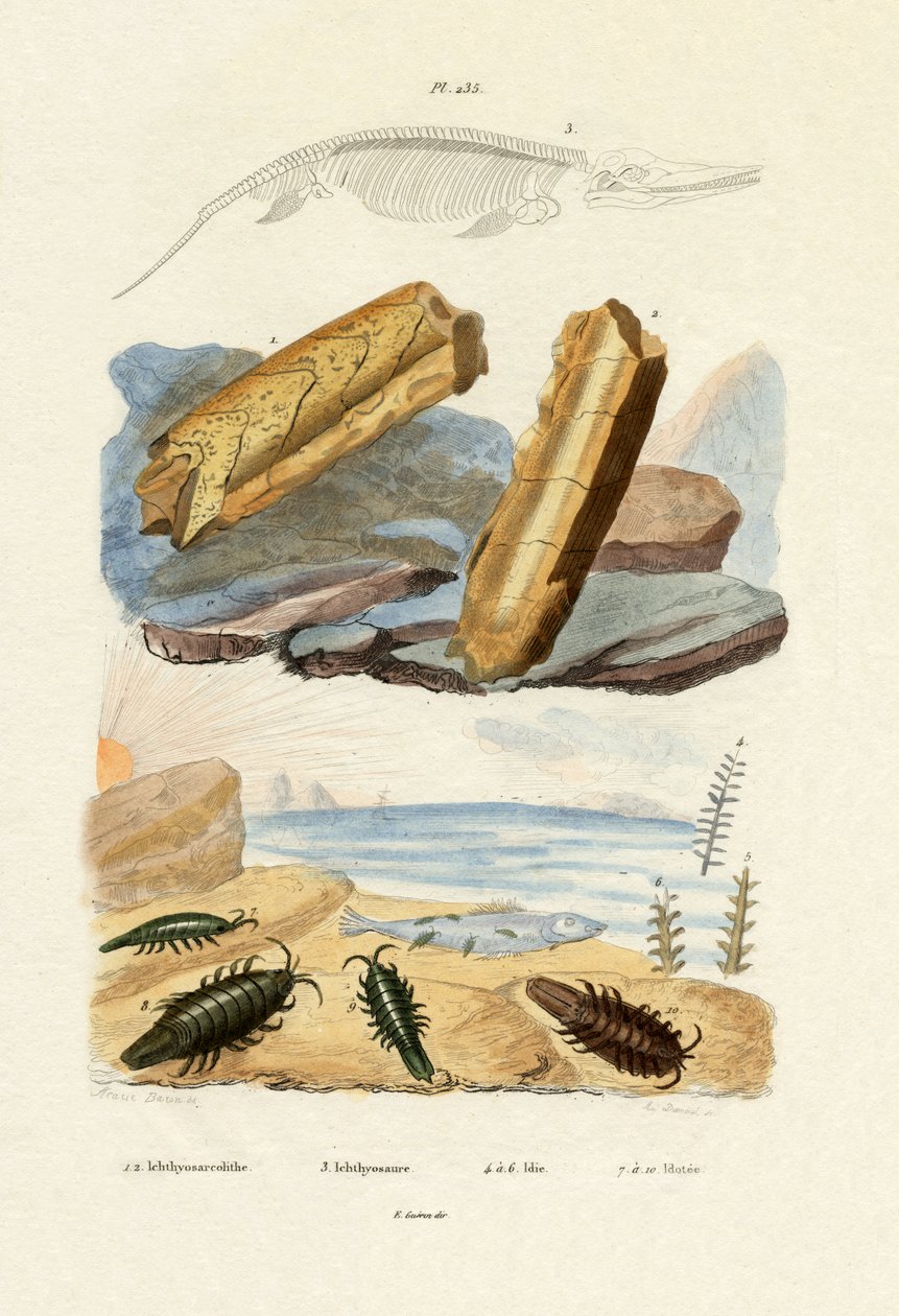 İhtiyozor, 1833-39 by French School