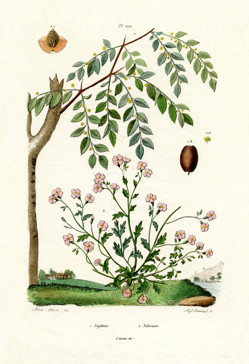 Hünnap, 1833-39 by French School