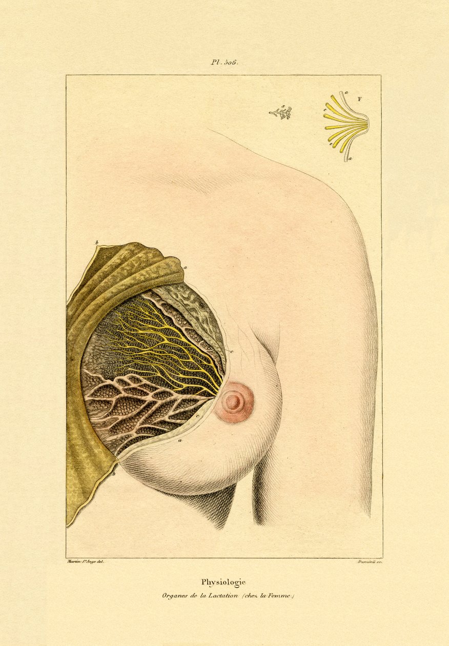 Emzirme, 1833-39 by French School