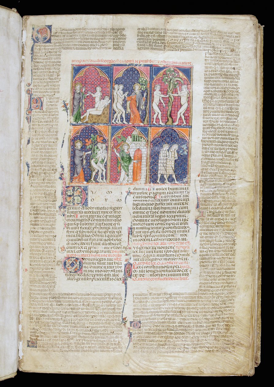 Ms. 262, f.1r: Gratian