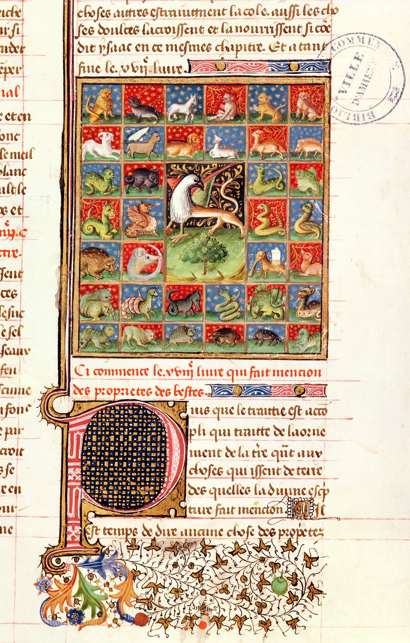 Ms 399 fol. 241 Hayvanların Özellikleri, İngiliz Barthelemy