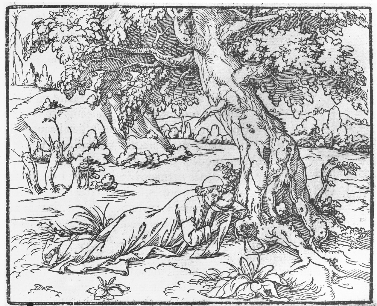 Francesco Colonna tarafından yazılan Poliphilus Rüyasının Söyleminden bir sayfa, 1546 by French School