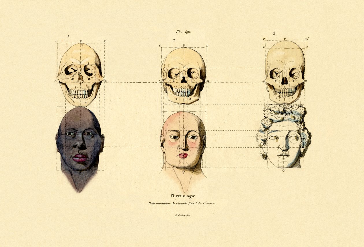Frenoloji, 1833-39 by French School