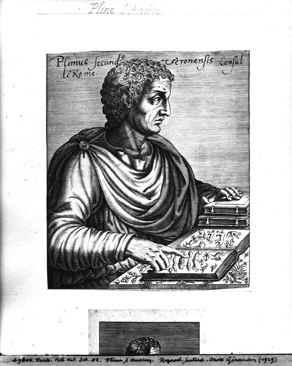 Yaşlı Pliny (MS 23-79) by French School