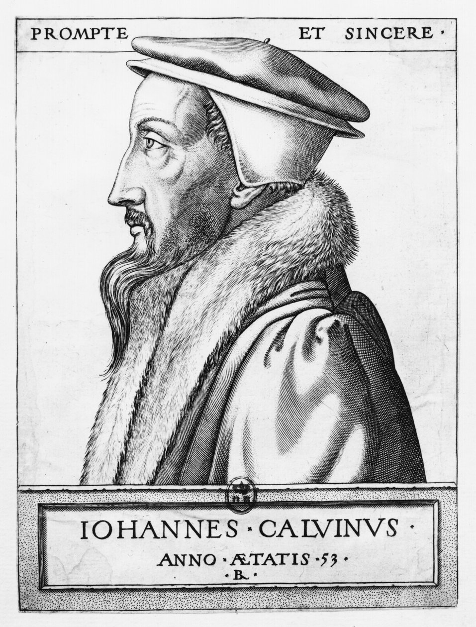 Portrait of John Calvin (1509-64) aged 53, 1564   by French School