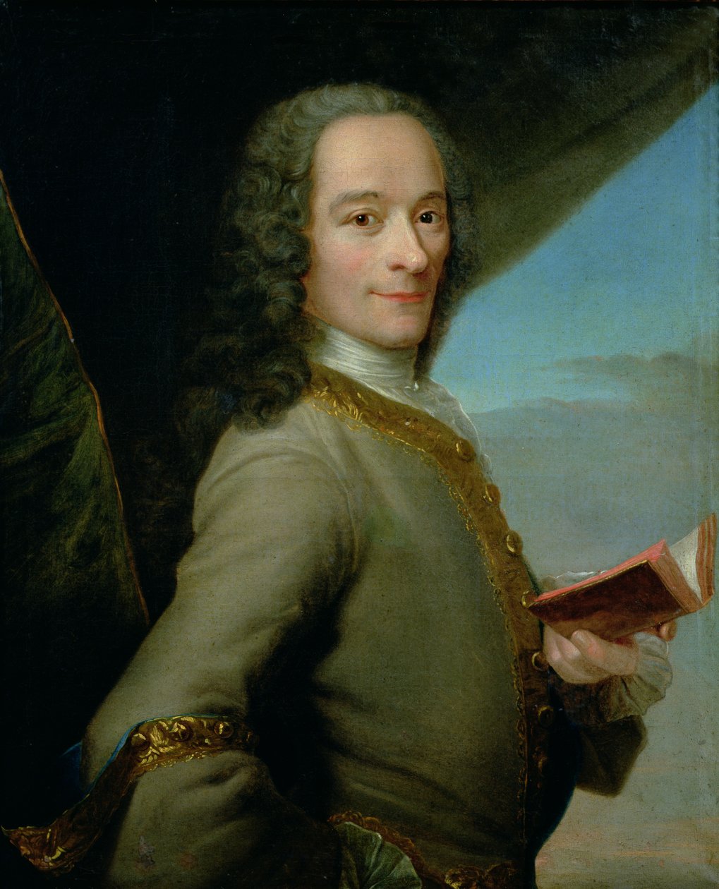 Portrait of the Young Voltaire (1694-1778)  by French School