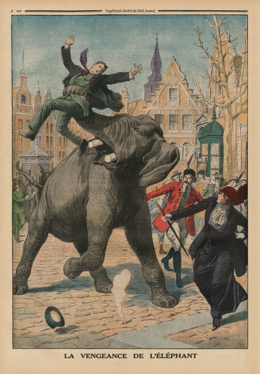 Bir filin intikamı, Le Petit Journal