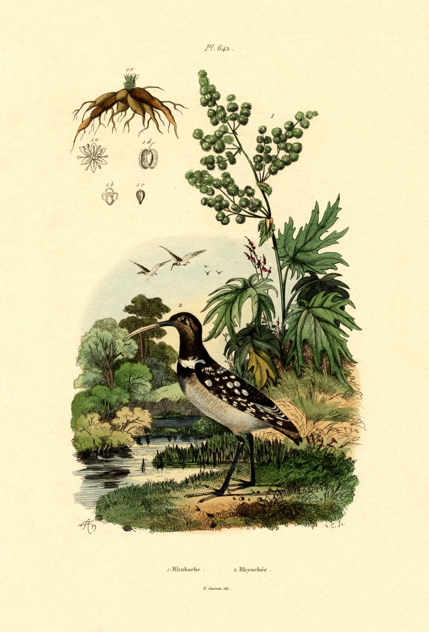 Ravent, 1833-39 by French School