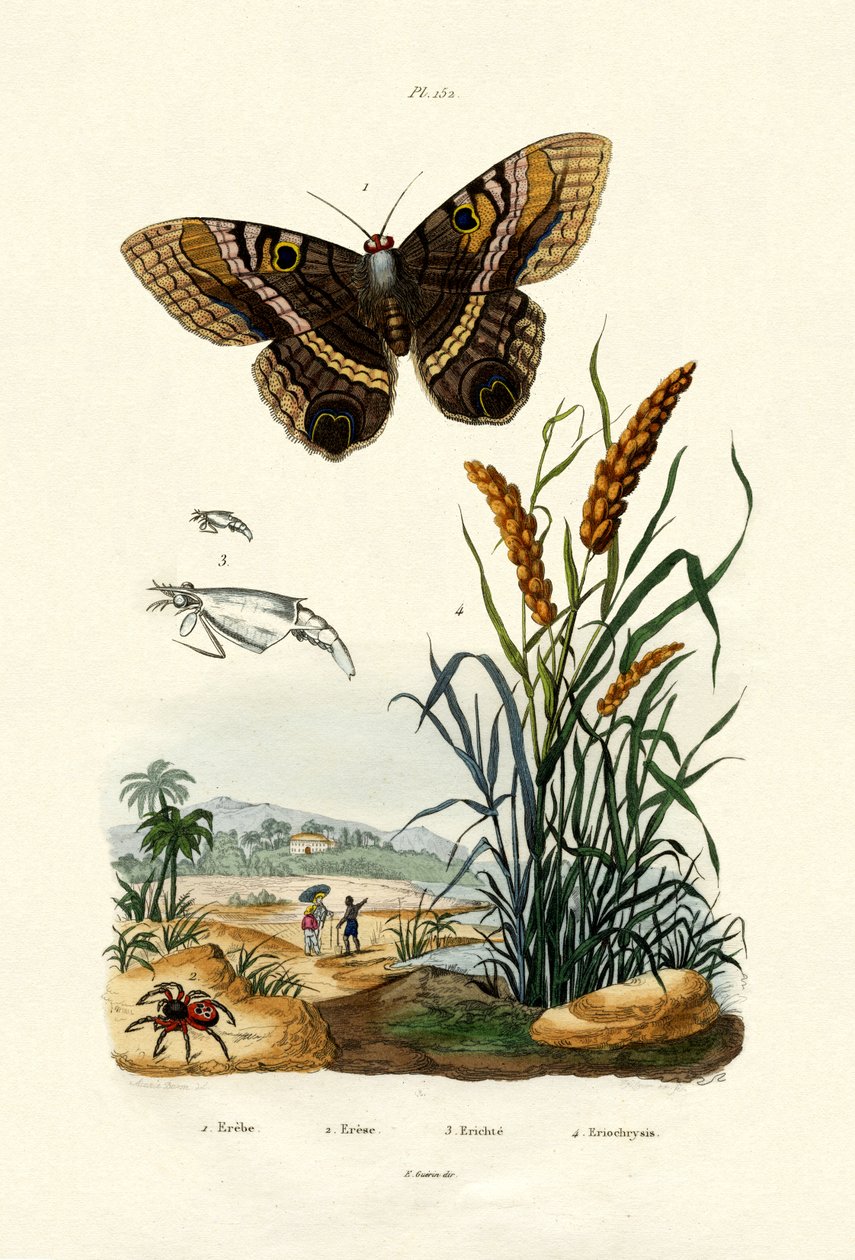 Halka, 1833-39 by French School