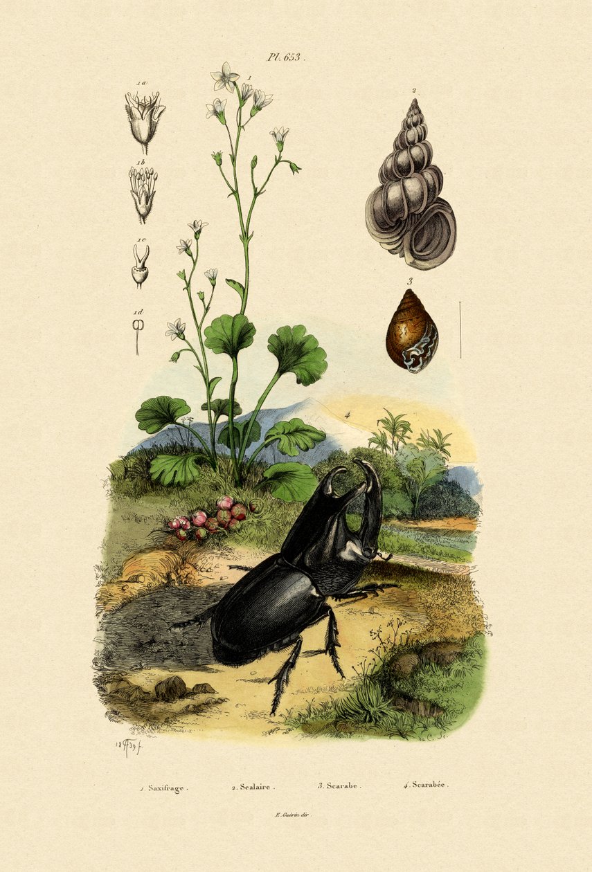 Saksafon, 1833-39 by French School