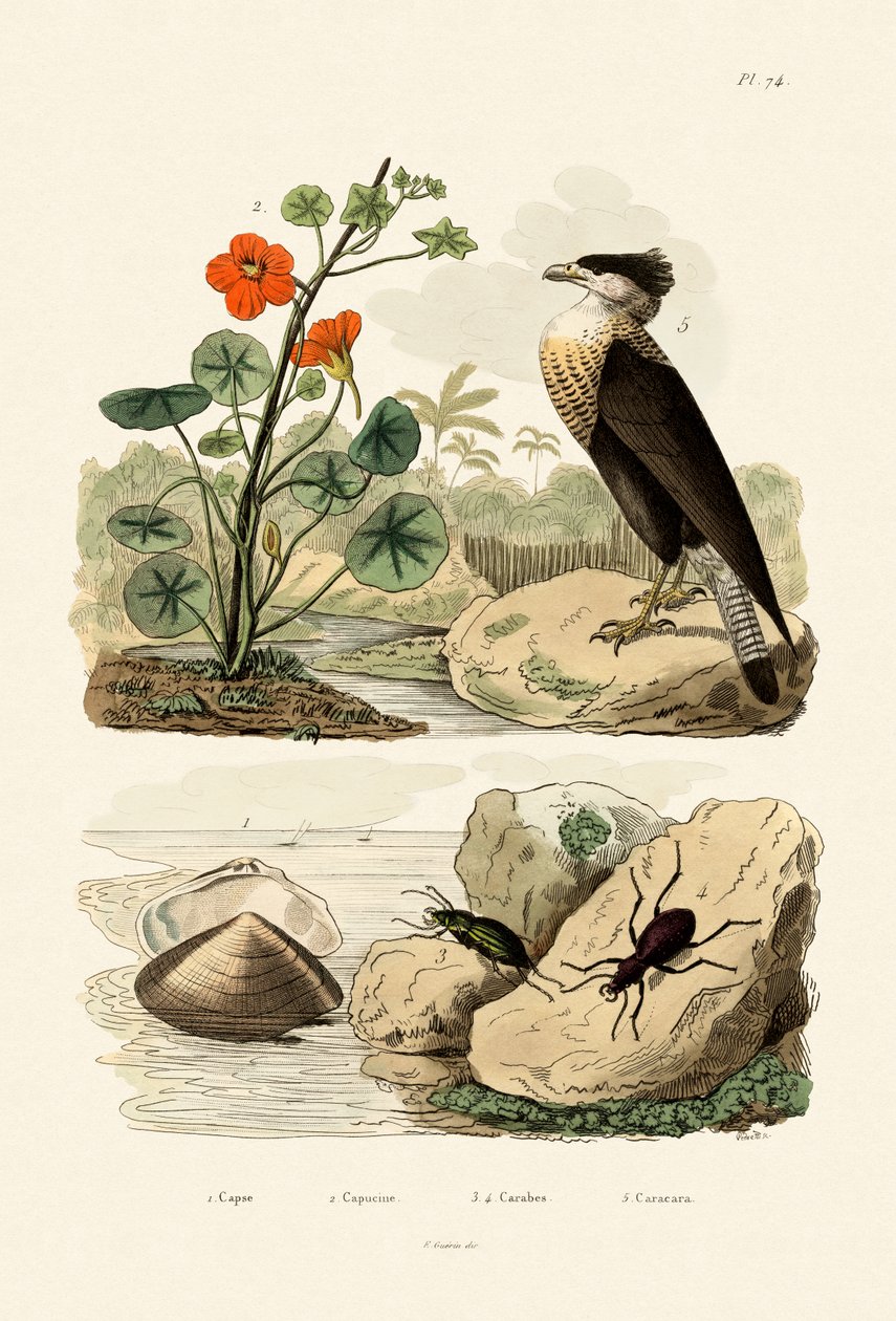 Kabuk, 1833-39 by French School