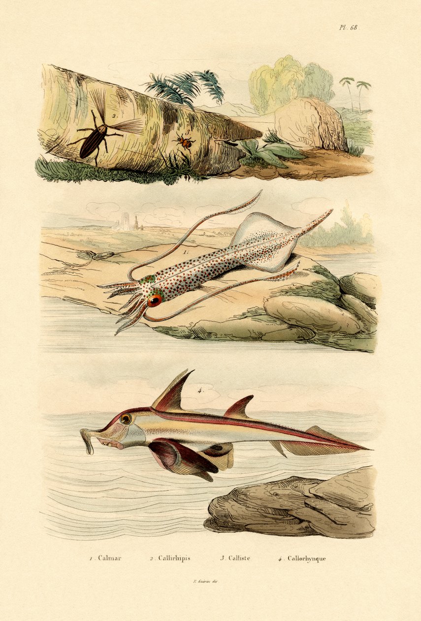 Kalamar, 1833-39 by French School
