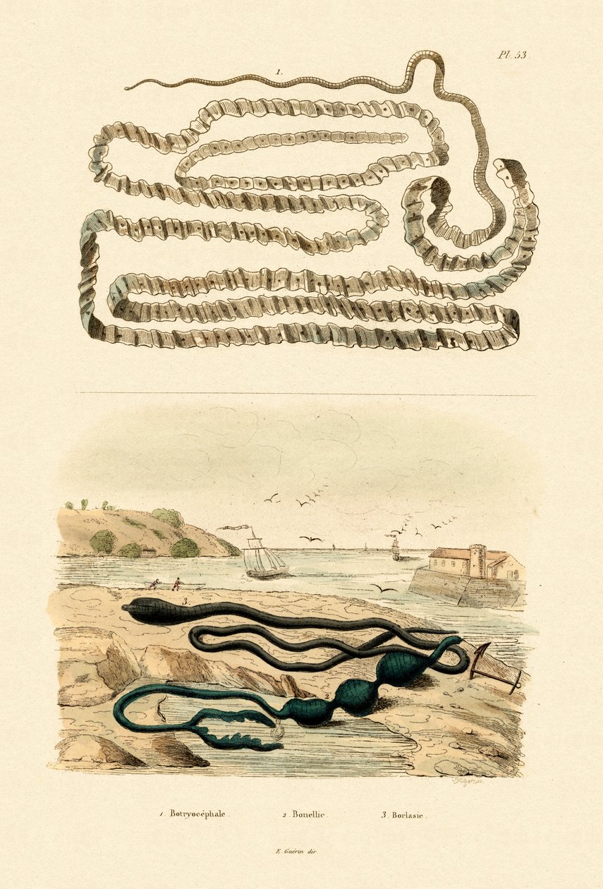 Tenya, 1833-39 by French School
