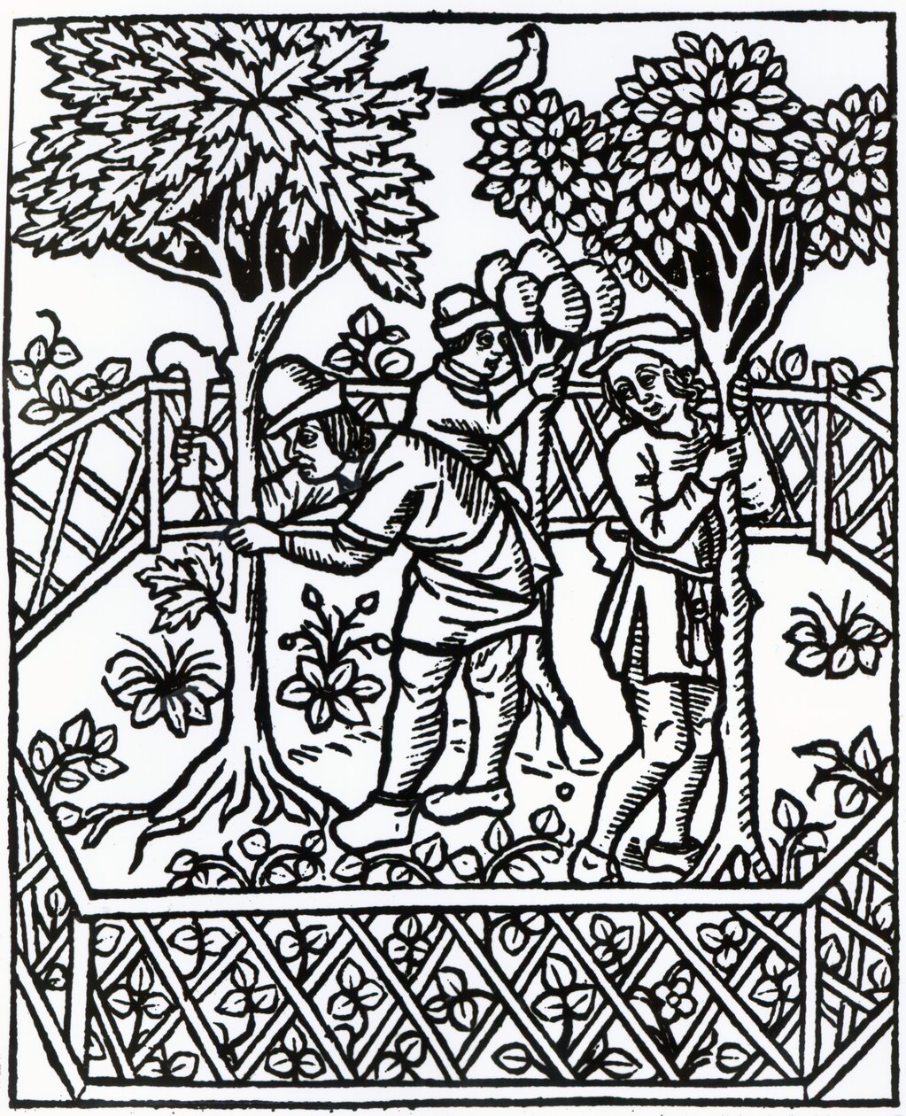 Petrus de Crescentiis tarafından 