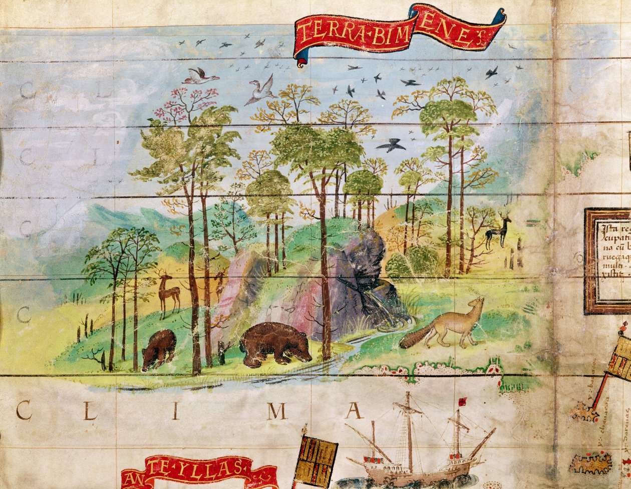Kanada Ormanı, Atlantik haritasından detay, 1519 by French School