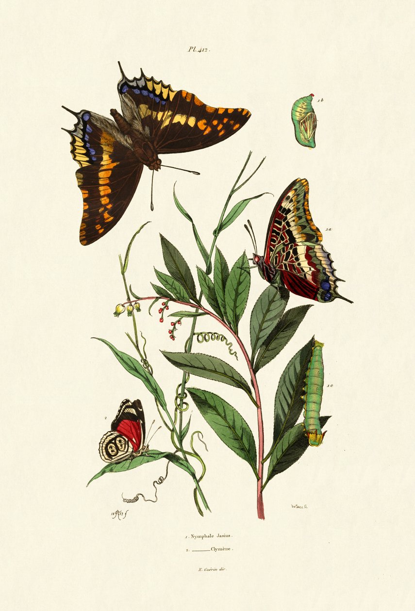 İki Kuyruklu Paşa, 1833-39 by French School