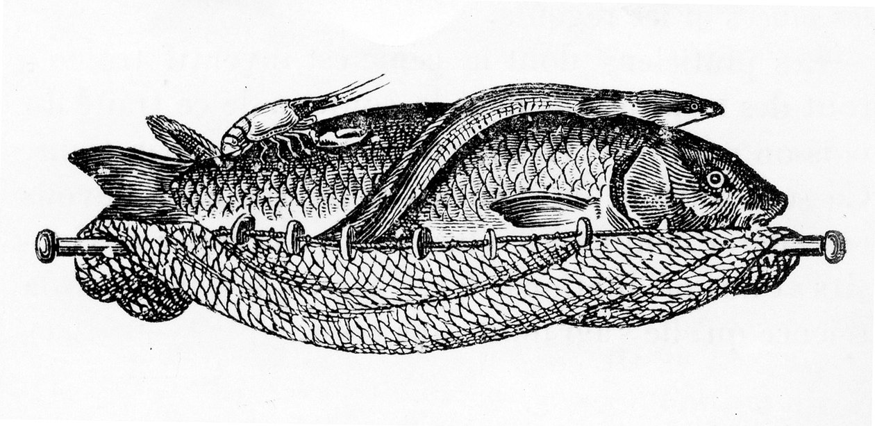 Bölüm XIX için Vignette, sayfa 262, 