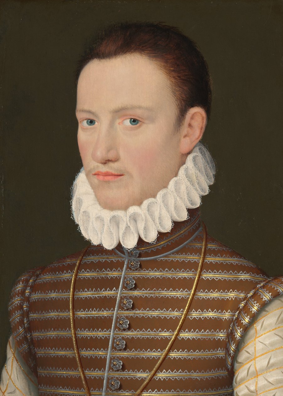 Bir Asilzade Portresi by French 16th Century