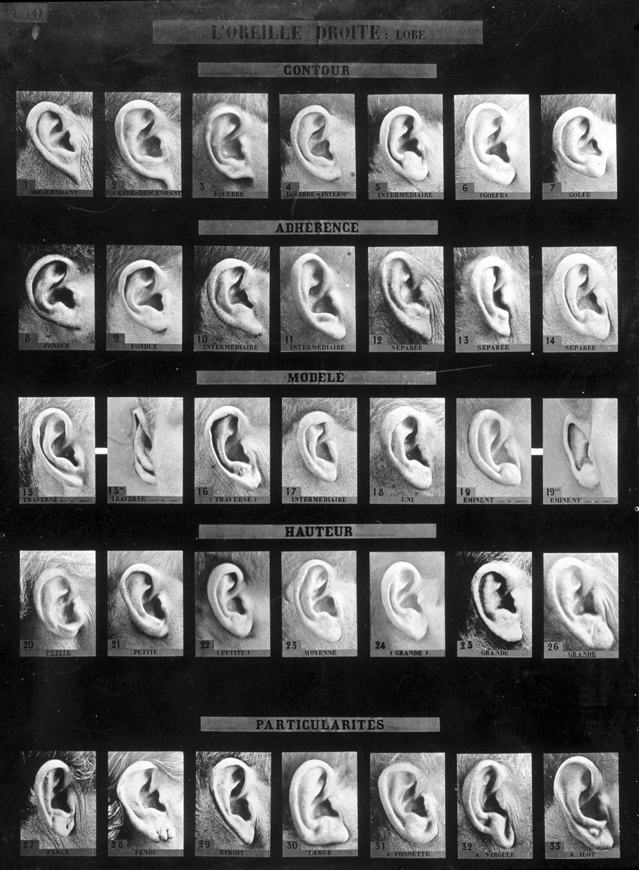 Bertillon sisteminin antropometrik sınıflandırması ve tanımlanması: farklı tipteki düz kulakların (lob) karşılaştırılması. SD. 19. yüzyılın sonlarında. by French Photographer