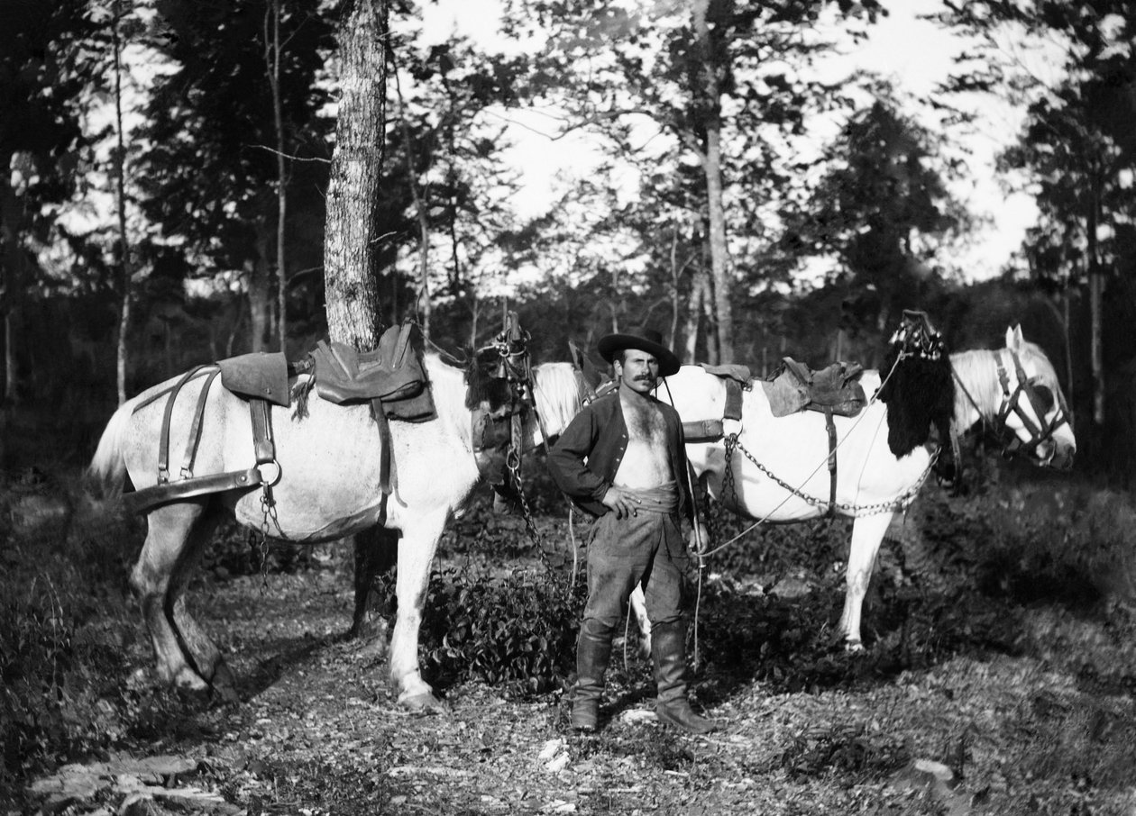 Bucheron atlarıyla birlikte, Haute-Marne