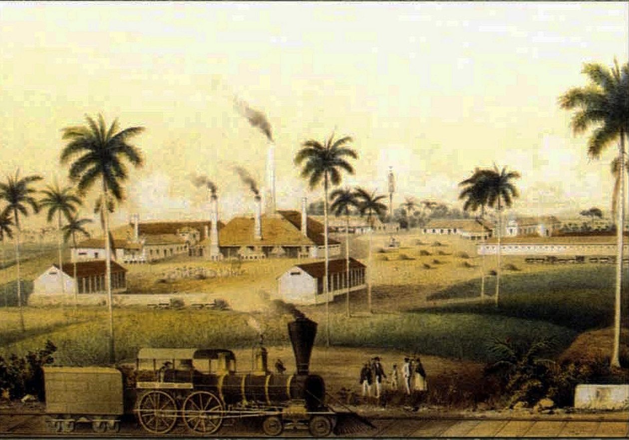 14784N Karayip Koleksiyonunda rom imalatı by French School