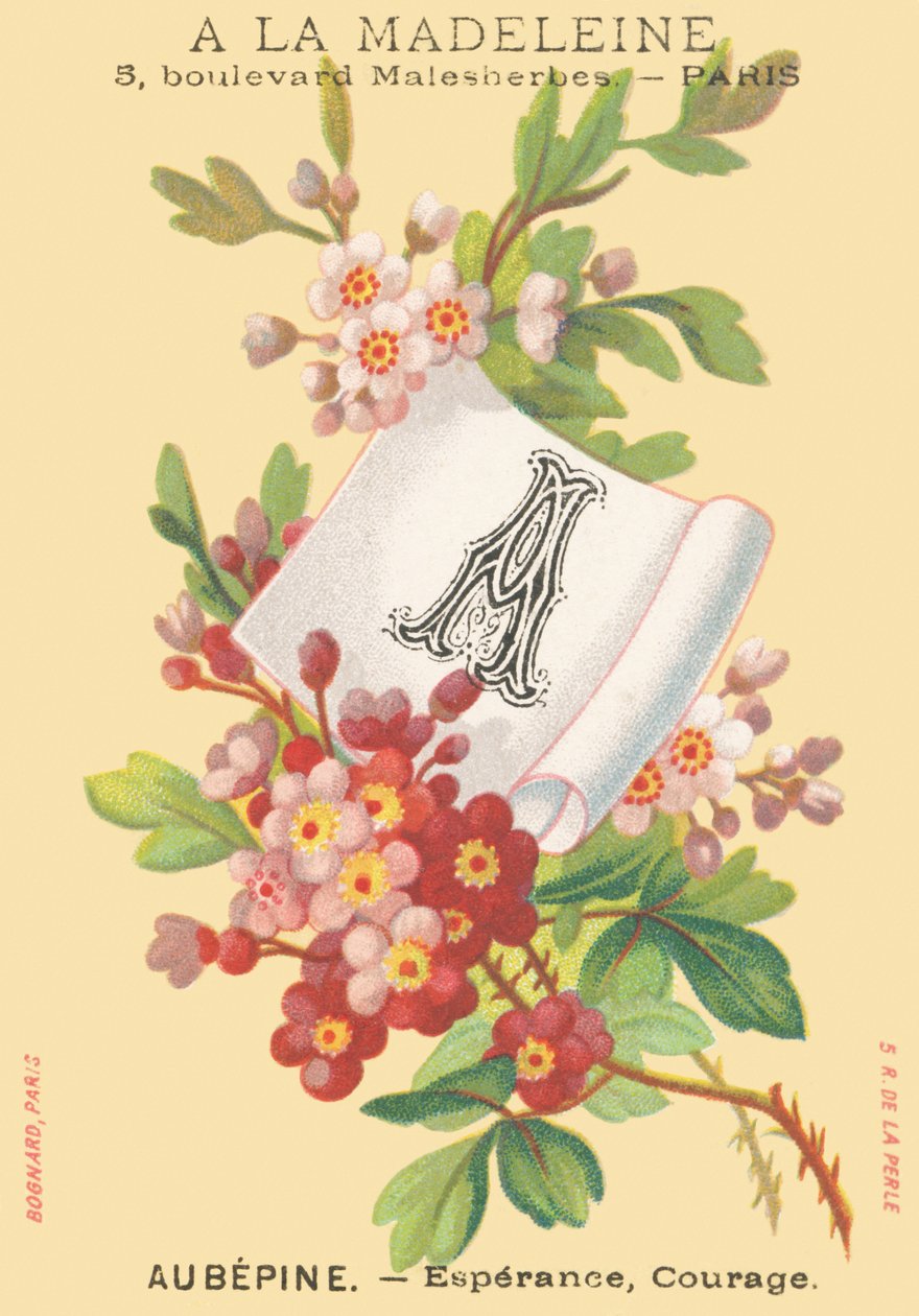 A: Aubepine - Esperance, Cesaret by French School