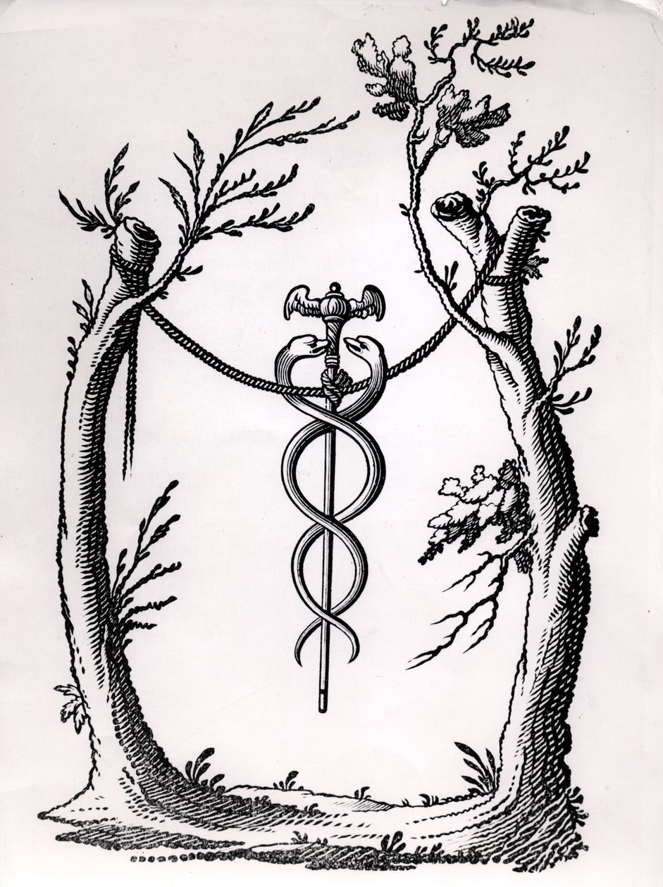 Caduceus
