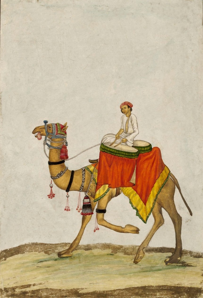 Binicisi Davul Çalan Bir Deve, c. 1840 (guaş) by French School