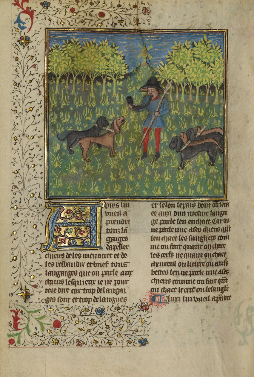 Bir Avcı, Köpeklerin Boynuz Çağrısına yanıt vermeleri için eğitiyor, c.1430-40 (tempera, altın ve gümüş boya ve parşömen üzerine altın varak) by French School