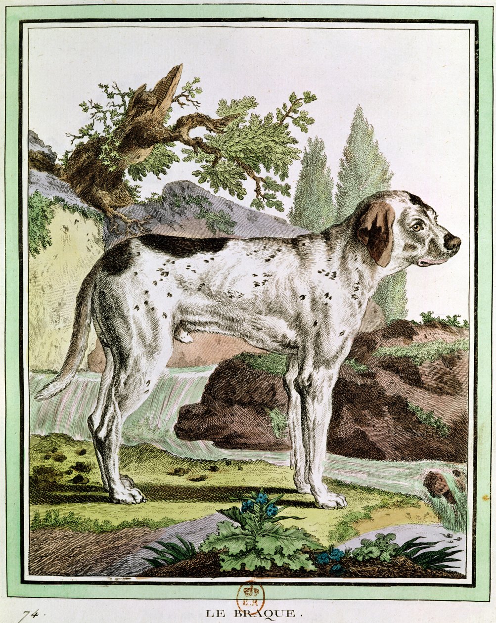 Bir İşaretçi, Georges Louis Leclerc (1707-88) Buffon Kontu, 1749-1804 tarafından Histoire Naturelle