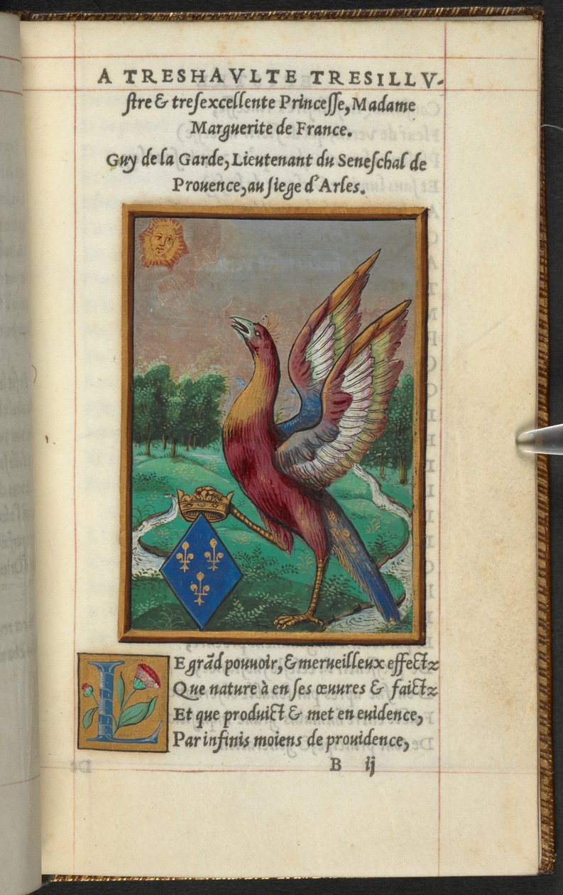 Phoenix