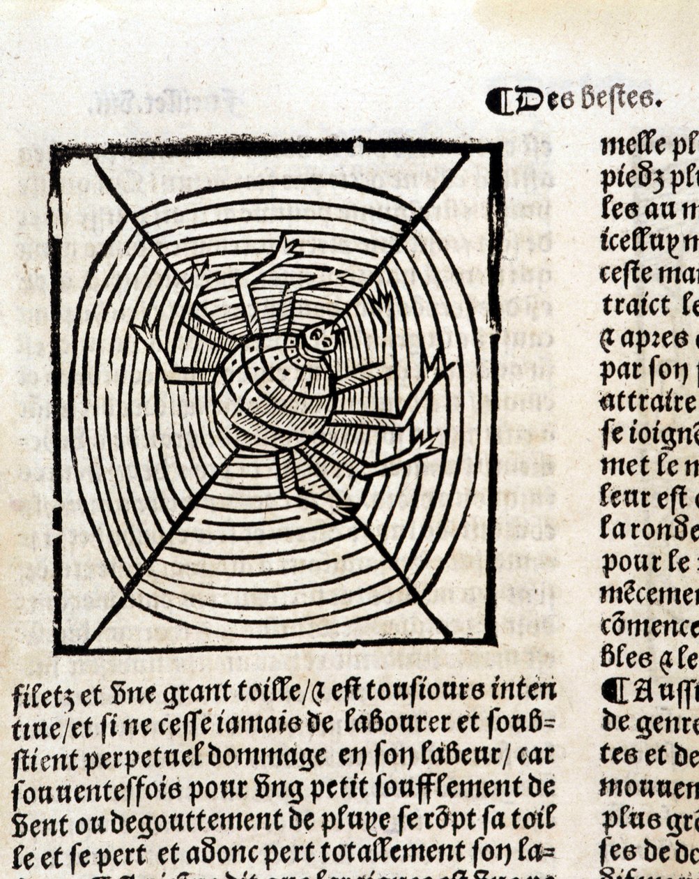 "Le Jardin de santé Latince