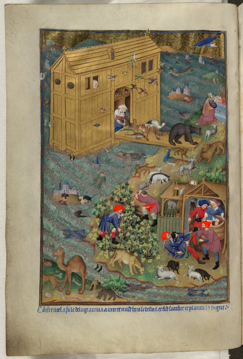 Ekle Ms 18850 f.16v, Ark