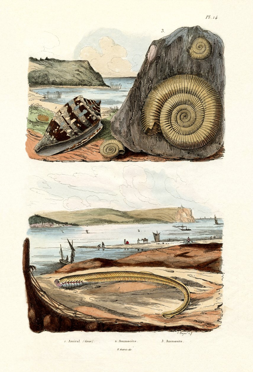 Amiral Koni, 1833-39 by French School