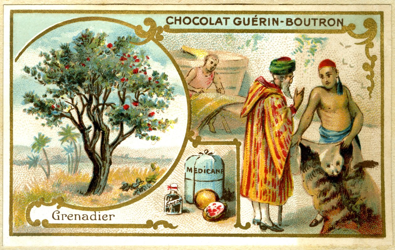 Guérin Boutron çikolatalarının reklam kromolitografisi (kromolitografi) by French School