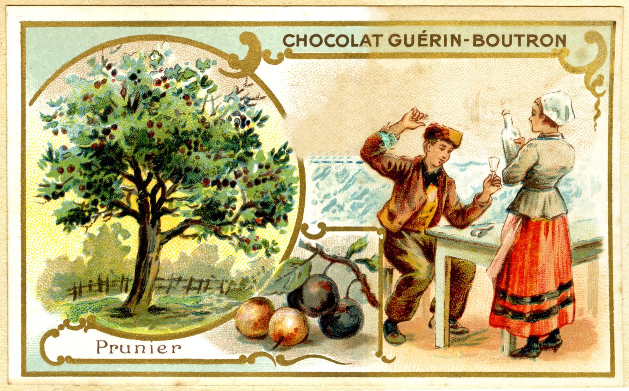 Guérin Boutron çikolatalarının reklam kromolitografisi (kromolitografi) by French School