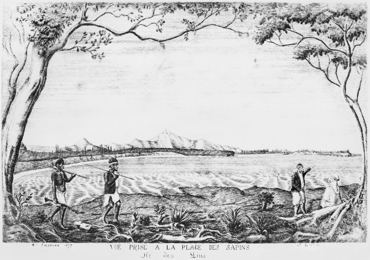 Isle of Pines albümü, Pines sahilinden görüntü, 1877 by French School