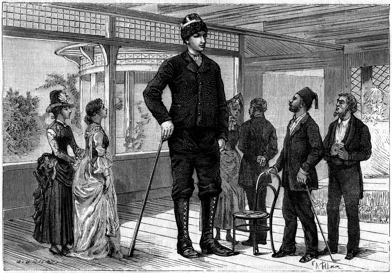 Amanab (ya da gerçek adıyla Auvassab, Amenates Tingitsoglu 1868-1887), Jules Verne