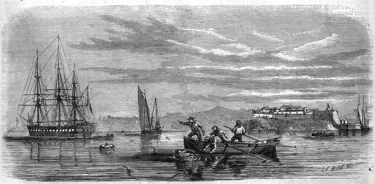 “Thetis” adlı fırkateyn okulunun yosunları tarafından toplanan bebek. Brest (Finistere, 29) by French School