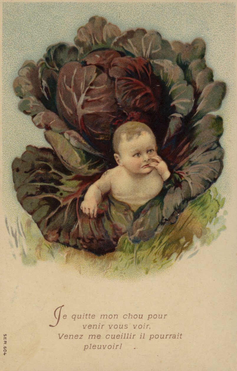 Lahanadan çıkan bebek (chromolitho) by French School