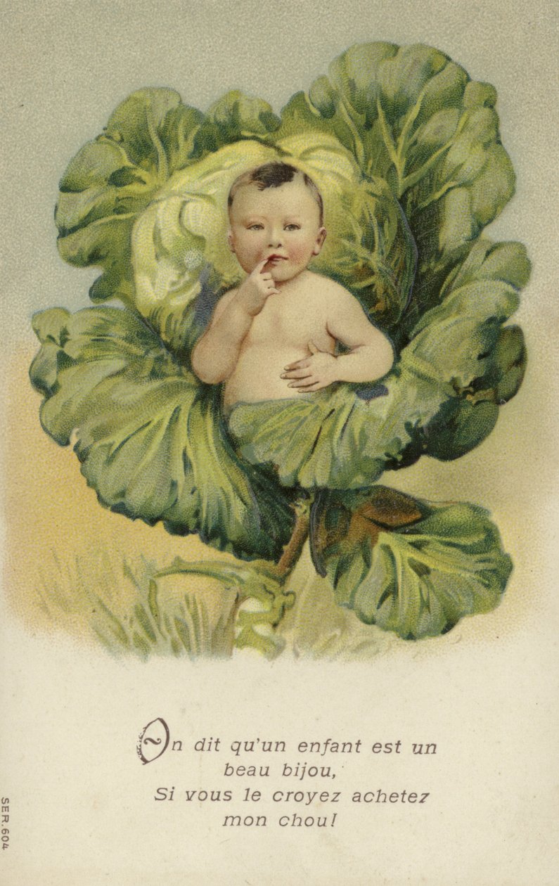 Lahana içinde bebek (chromolitho) by French School