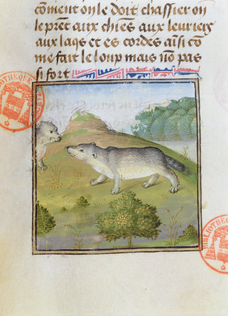 Porsuklar, Livre de la Chasse