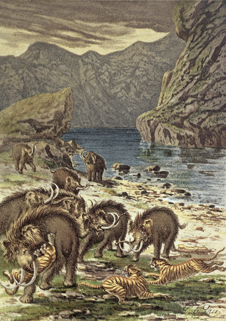 Camille Flammarion