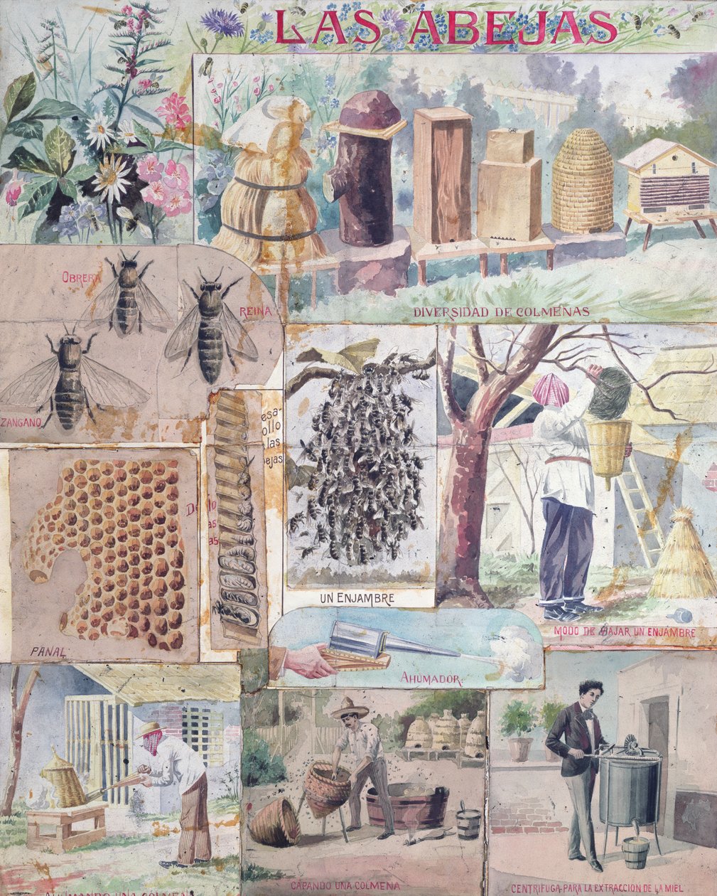 Arı Kültürü, Fransa