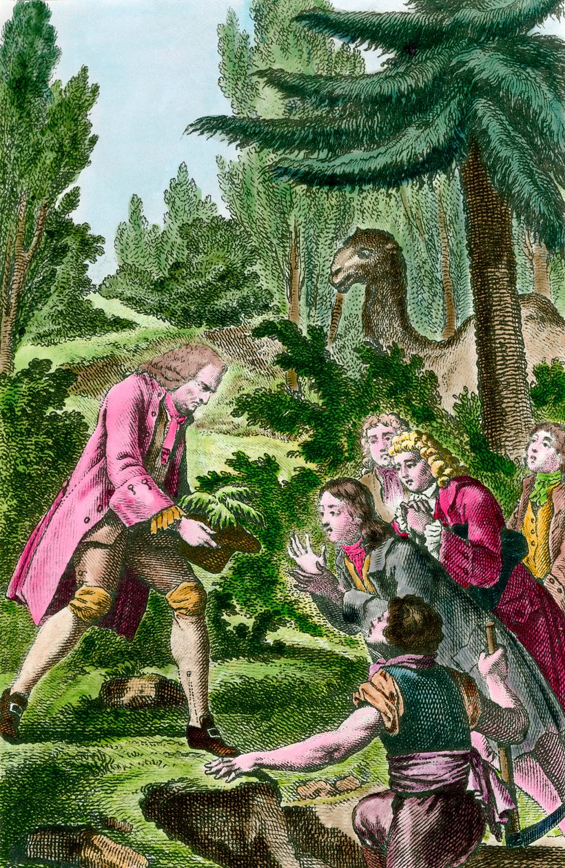 Bernard de Jussieu (1699-1777) 1734'te Paris'teki bitkilerin bahçesine Lübnan'dan sedir dikiyor. 18. yüzyıl gravürü. by French School