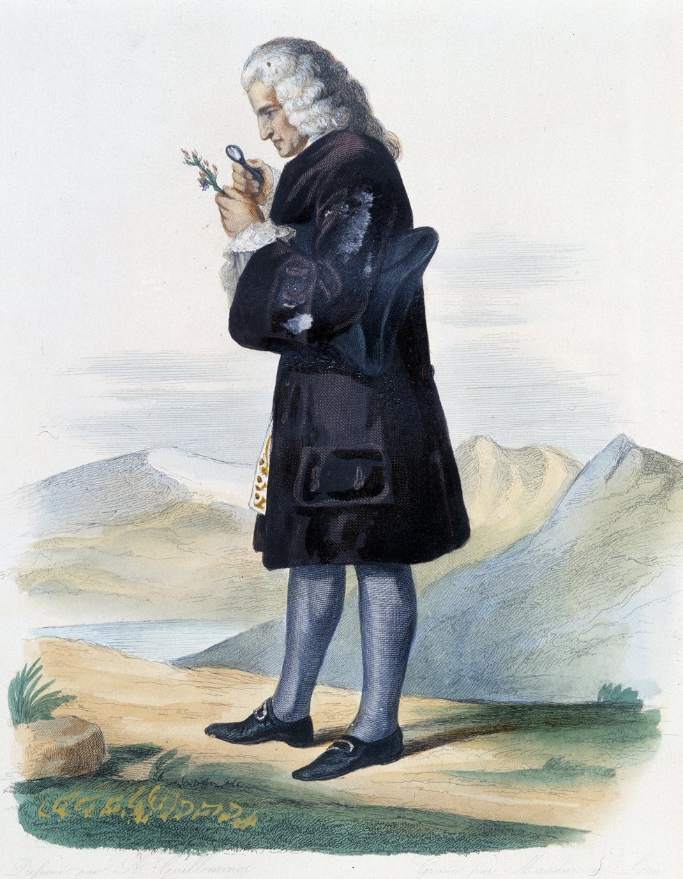 Bernard de Jussieu - Ed. Mennechet