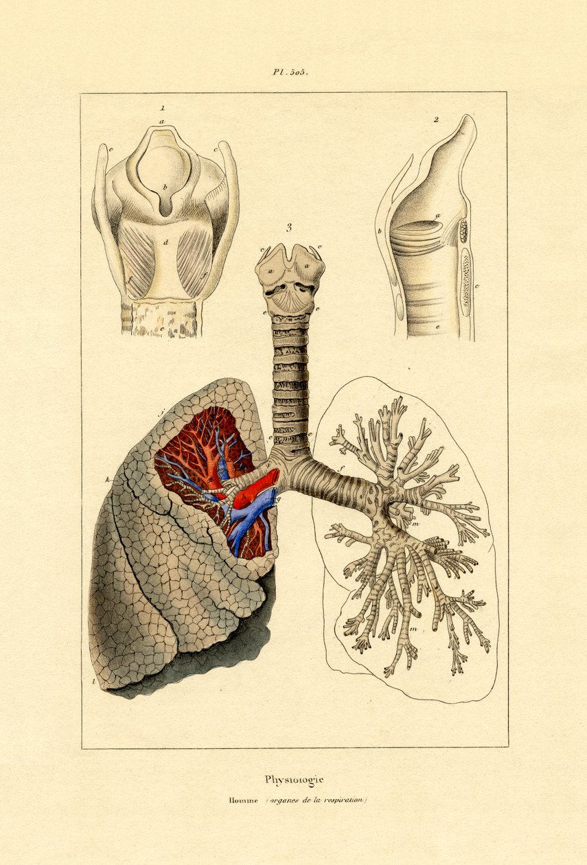 Nefes alma, 1833-39 by French School
