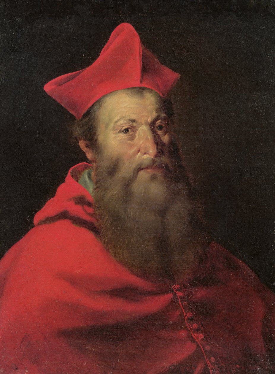 Kardinal Jacques Sadolet (1477-1547) Carpentras Piskoposu by French School